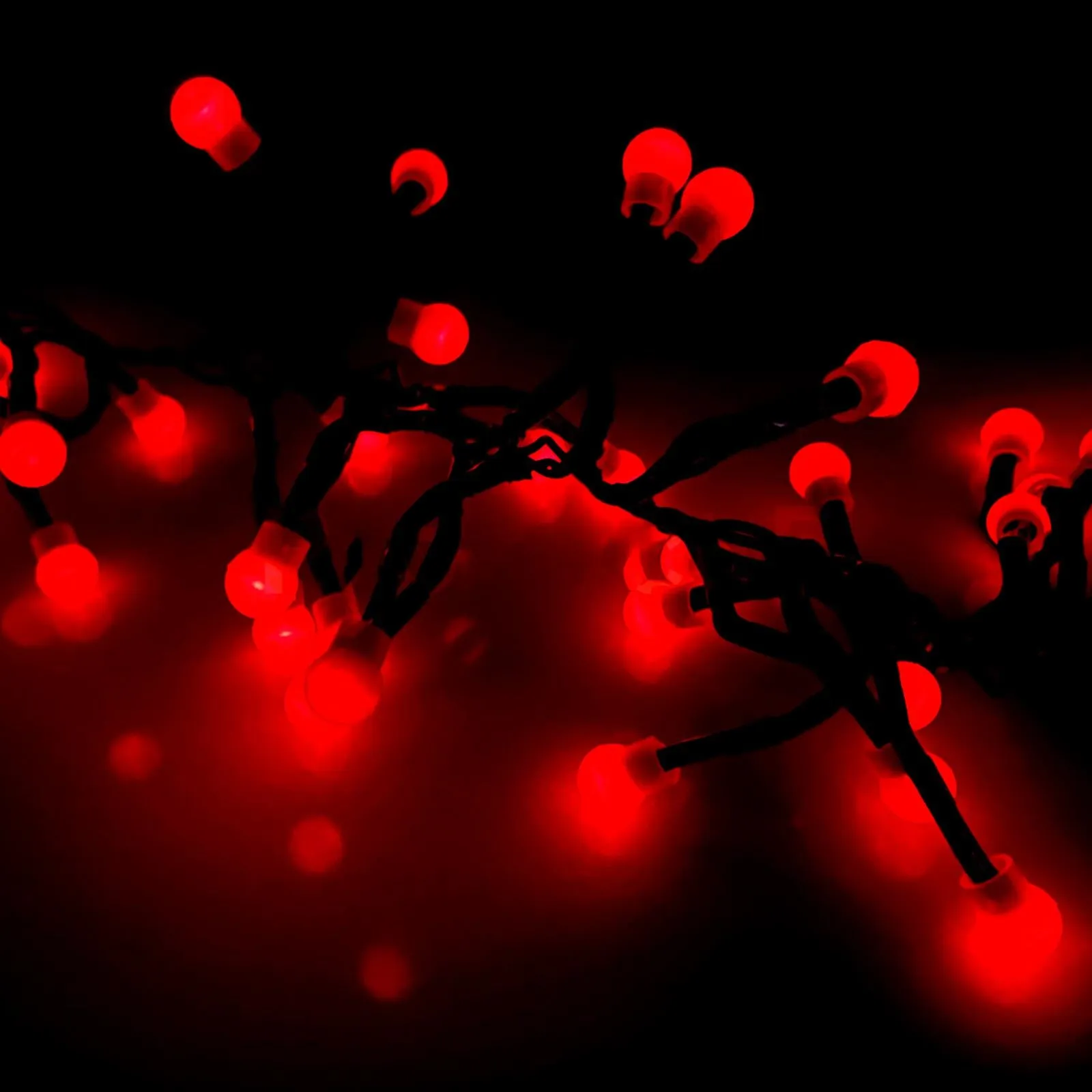 100 Berry Christmas LED Lights Red