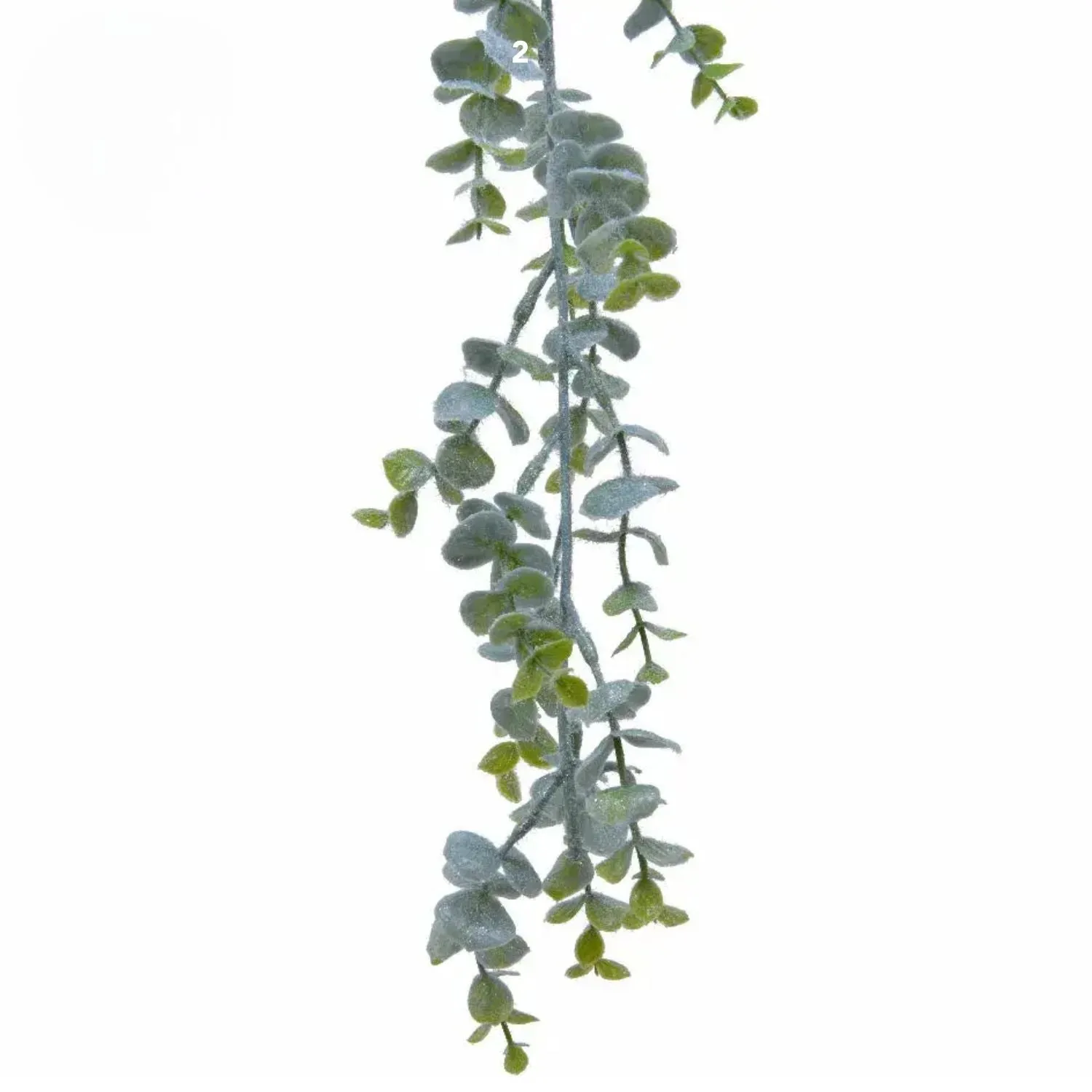 Kaemingk 180cm  Frosted Eucalyptus Garland