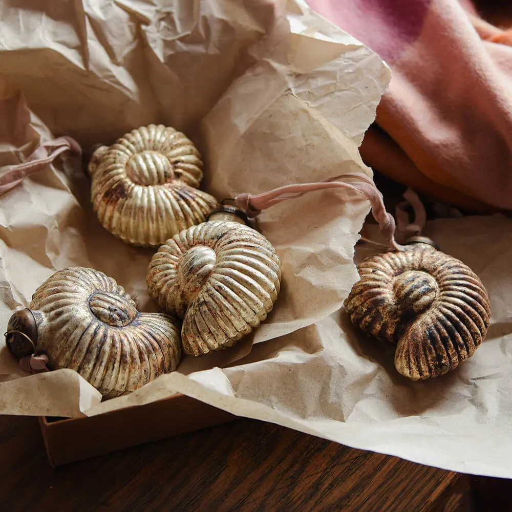 Rustic Gold Sachin Shell Glass Baubles - Set of 4